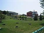 Kincardine Area Meet June 16th ???-mini-100_0039.jpg