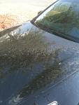 Bad sprinkler or someone hates me...-photo_2.jpg