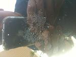 Bad sprinkler or someone hates me...-photo-3-small.jpg