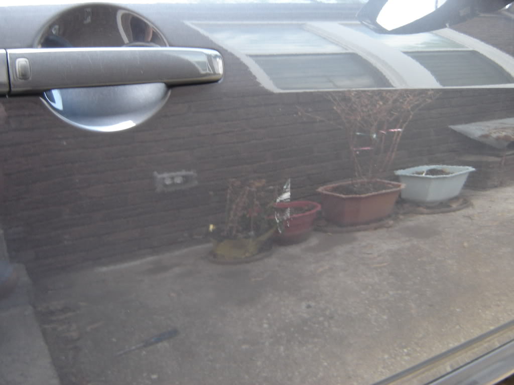 Name: DSC00010.jpg
Views: 217
Size: 57.5 KB