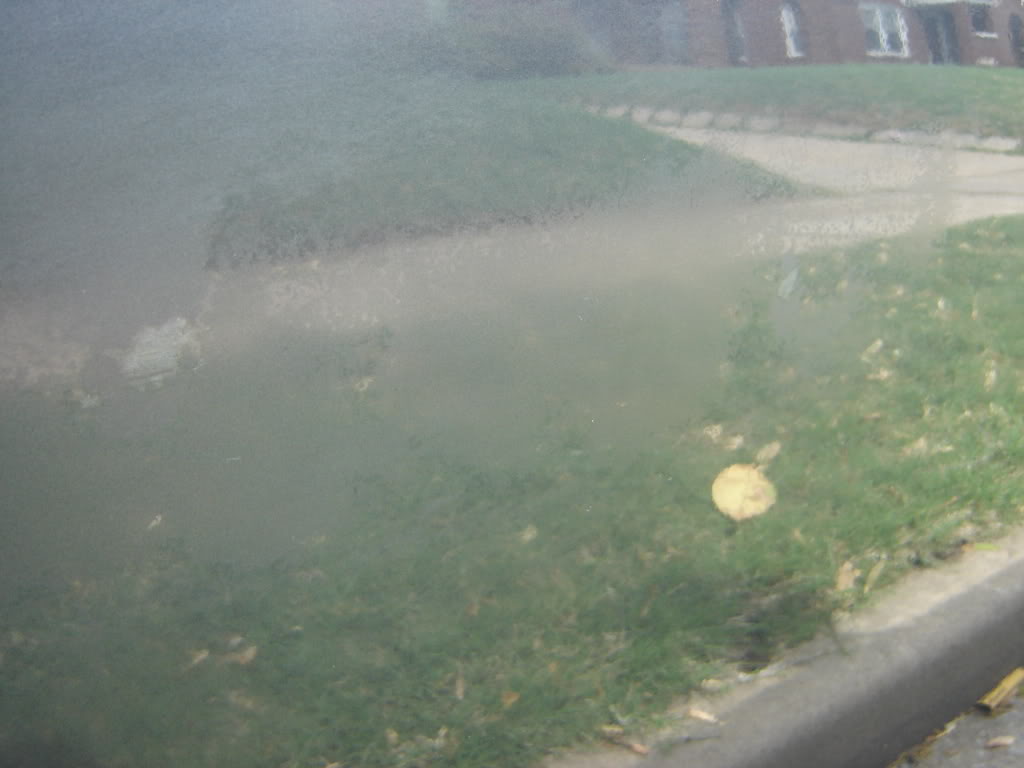 Name: DSC00016.jpg
Views: 129
Size: 57.5 KB