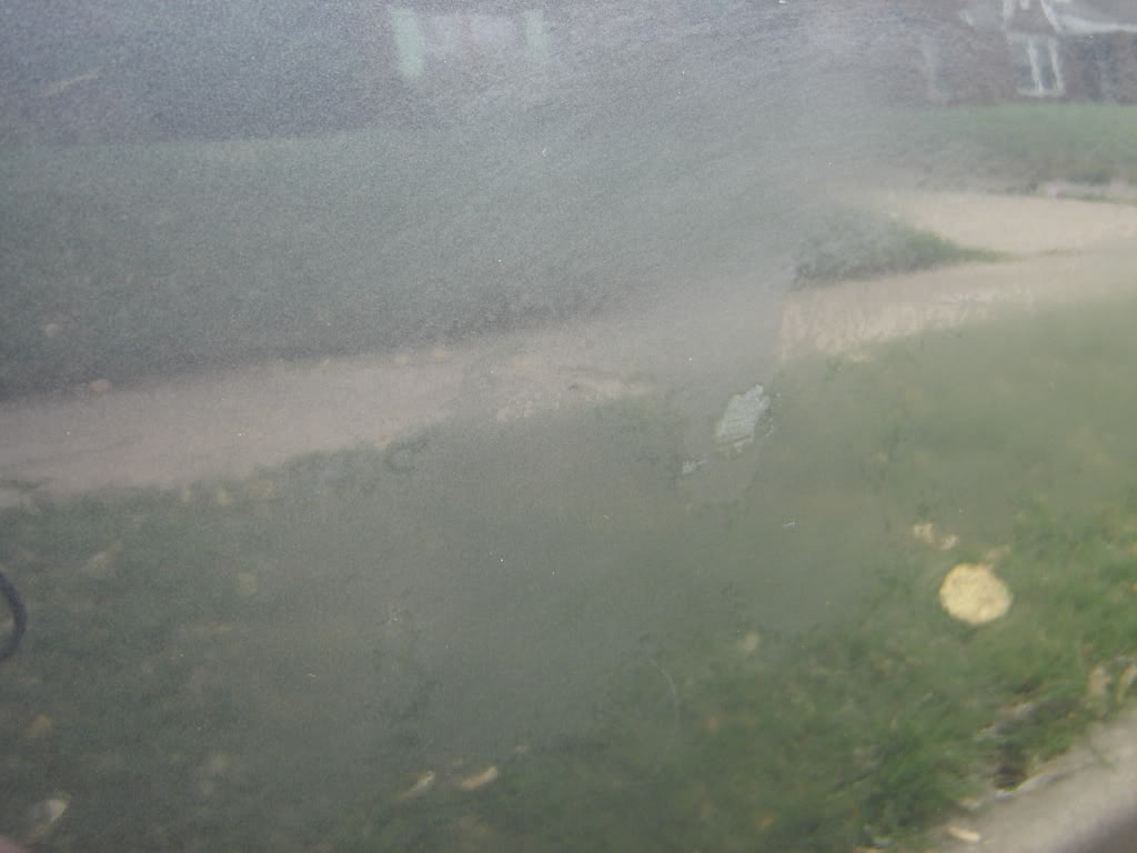 Name:  DSC00018.jpg
Views: 157
Size:  60.5 KB