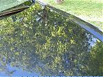 zaino on my dg coupe is weak-dsc01550.jpg