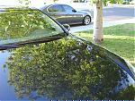zaino on my dg coupe is weak-dsc01551.jpg