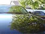 zaino on my dg coupe is weak-dsc01552.jpg