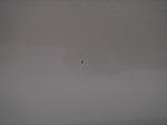 I found a small speck that I cannot remove on the hood.  Any suggestions?-dsc01342.jpg
