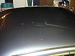 Bird Poop etching-roof.jpg
