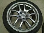 oem 19s rays-1292878209876.jpg