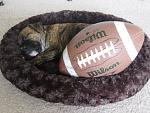 The Boxer and the G!!!!!!!-26759_1380794555847_1111414473_1161776_338682_n.jpg