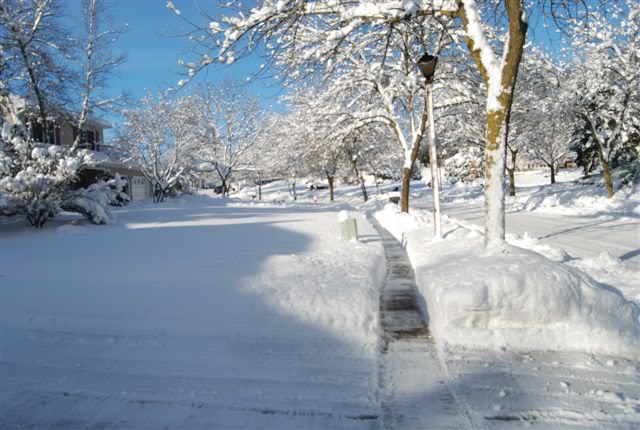 Name:  Diggingout3021110001.jpg
Views: 232
Size:  59.0 KB