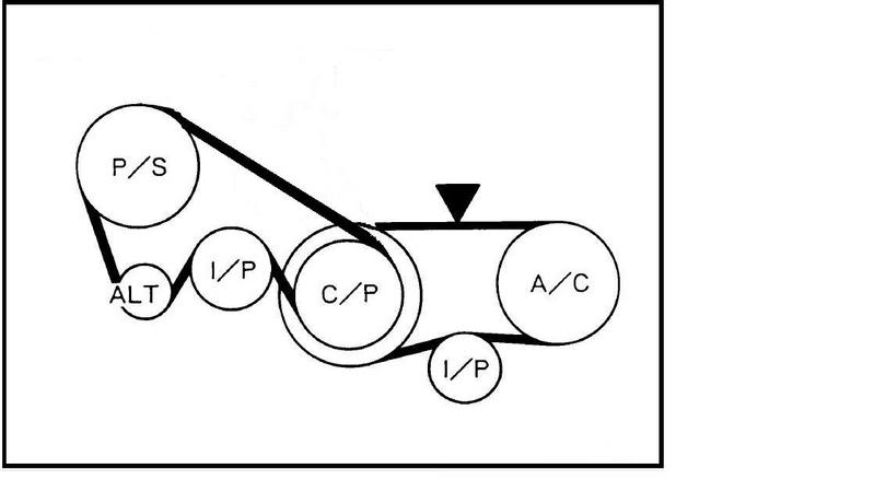 2006 infiniti g35 serpentine belt
