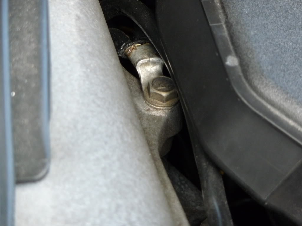 Name:  P1000180.jpg
Views: 18434
Size:  60.2 KB