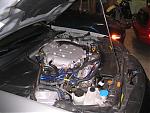 what color to get?-img_2096.jpg