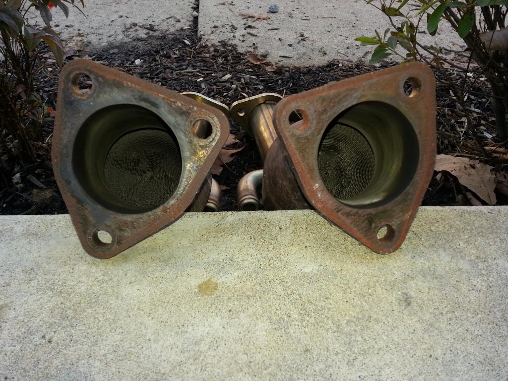 Name:  cat9_zps4557b00a.jpg
Views: 33
Size:  150.9 KB