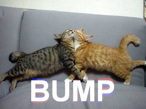 Name:  bump.jpg
Views: 18
Size:  42.6 KB