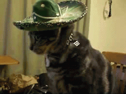 Name:  7qNTrHN.gif
Views: 11
Size:  2.00 MB