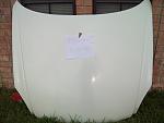 front bumper, side skirts, and hood-100_4527.jpg