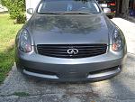 Black OEM  Grill-dsc01511.jpg