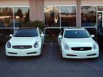 * Blue Bats Gloss Black Roof Overlay- CHEAP!-2.jpg