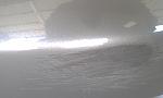 DG colored Sports Bumper-imag0074.jpg