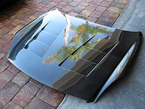 TS Carbon Fiber hood-5y1mi.jpg