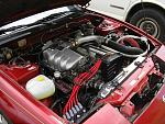 Newbie to the G scene-Out of Jax-013-resized.jpg