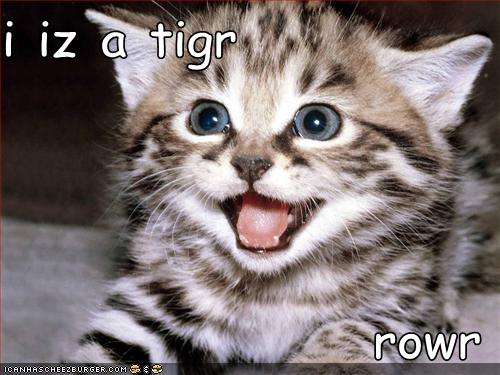 Name:  iizatigrrow128644427364223229_zps4f22d9c5.jpg
Views: 22
Size:  38.9 KB