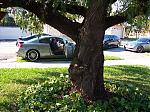South Florida Tech/Mod Day - January 15-flg35meet-023.jpg