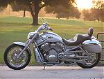 Bike suggestions?-v-rod.jpg