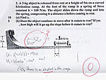 This is how i felt taking the CPA exam-elephant.jpg