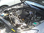 2007 Lakeland CFL Meet - Pictures-cimg1322.jpg