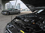 MIAMI Beach end of May meet!!-img_0033.jpg