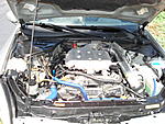 my lokey pics-dsc00428.jpg