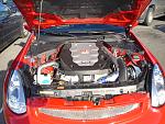 FI: we're not in Kansas anymore...-dsc00370.jpg