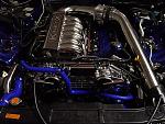 She lives!!!-picture-1410.jpg