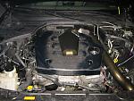 New pics of my NEW project!-engine-bay-front-pic.jpg