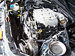 Dynoed my 2004 Sedan ST today...-100_0815.jpg