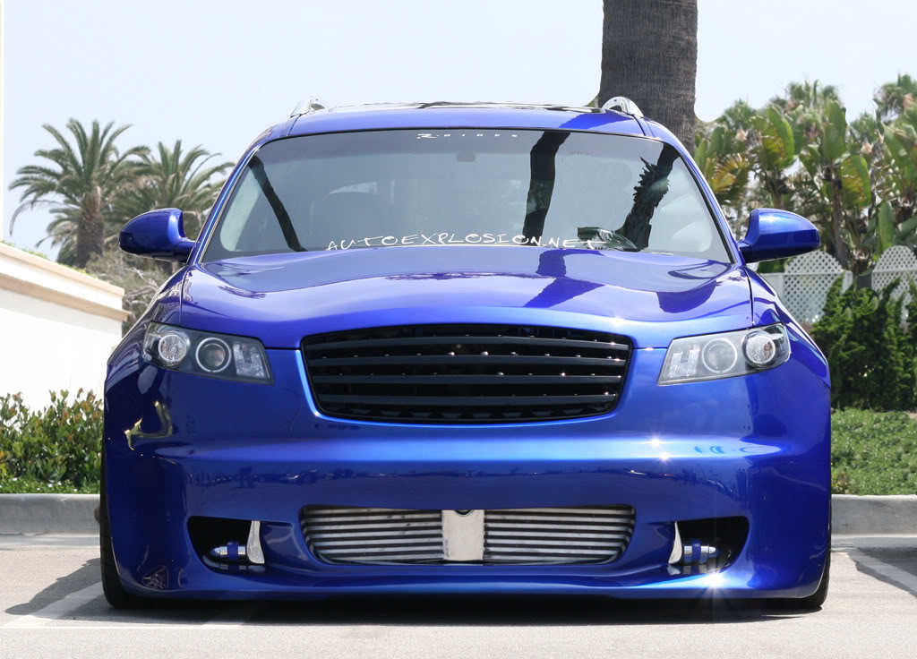 Name:  Blueberry01.jpg
Views: 363
Size:  129.8 KB