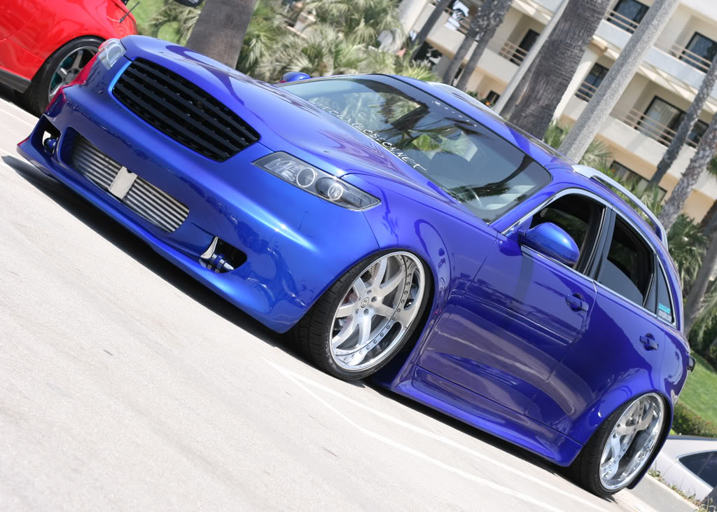 Name:  Blueberry02.jpg
Views: 327
Size:  164.2 KB