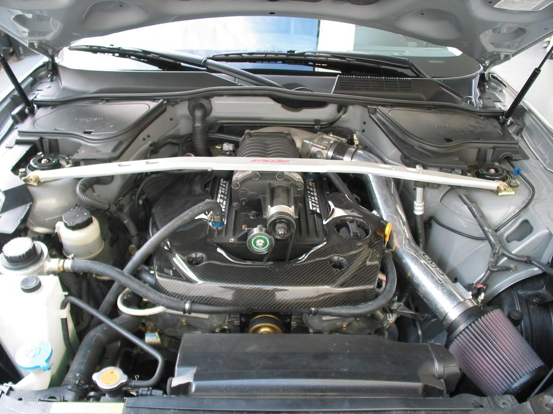 Name:  stillen_7.jpg
Views: 505
Size:  141.3 KB