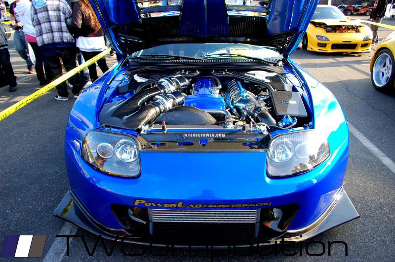 Name:  DSC_6695-1.jpg
Views: 170
Size:  123.0 KB