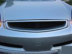 SP grille for sale paited BS-picture-056.jpg