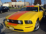 Nov 5 NJ Car Show Pics-mustang.jpg
