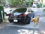 2006 G sedan-dscf1332.jpg