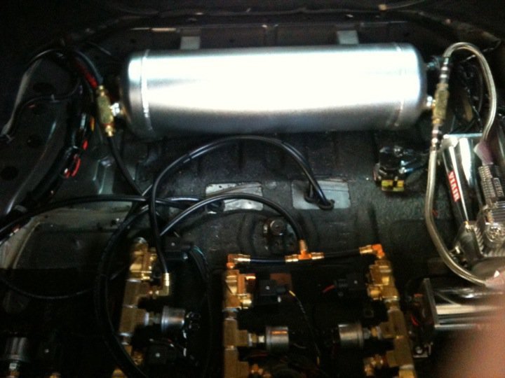 Name:  trunk_zps7d3d4de8.jpg
Views: 106
Size:  64.6 KB