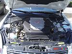 ~~2003 G35 Coupe White and Black Combo.~~ 000-dsc07325.jpg