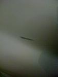 Scratch on G-new-image2.jpg