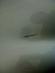 Scratch on G-new-image3.jpg