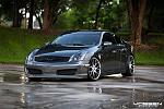 Vertini magic or vossen cv2-l_g112010101534854.jpg