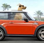 Why is not having a sunroof desirable to enthusiasts?-marmaduke-so-cool.jpg